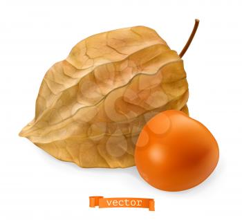 Physalis fruit with husk, 3d realistic vector icon