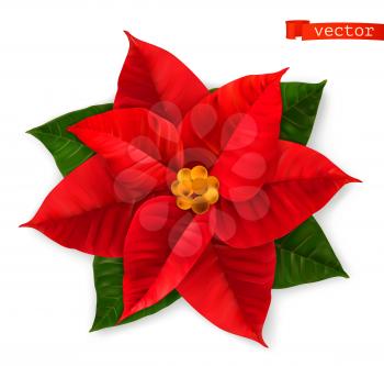 Poinsettia, Christmas Star. 3d realistic vector icon