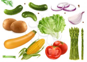 Cucumbers, coriander seeds, onions, potatoes, lettuce, zucchini, corn, tomato, asparagus. Vegetables 3d realistic vector set