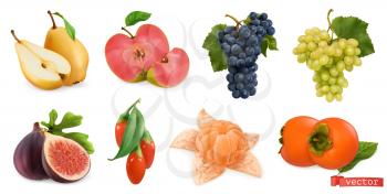 Autumn fruits and berries. Pear, pink apple, white sweet grape and wine grape, fig, goji berry, persimmon fruit. 3d realistic vector set