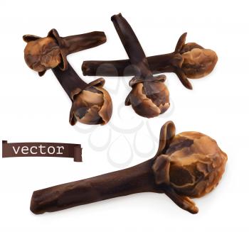 Dried cloves. 3d realistic vector