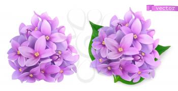Syringa flowers, lilac. 3d realistic vector icon