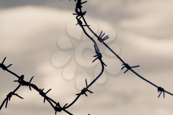 Barbed wire against moody sky. Toned shot, closeup.