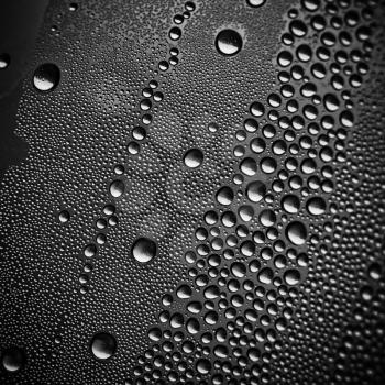 Water drops on black. Abstract texture.