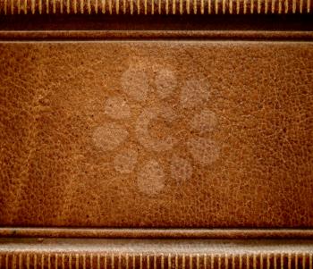 Antique leather book spine cover.

