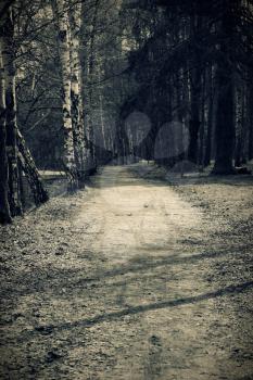 Path in park, vintage toned