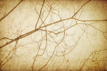Vintage branches abstract background