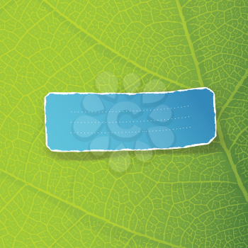 Green leaf texture and torn label with space for text. EPS10