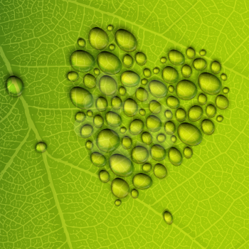 Heart shape dew drops on green leaf. Vector illustration, EPS10
