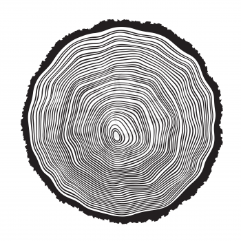 Tree rings background illustration