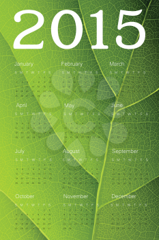 Calendar 2015 on green leaf texture. Vector