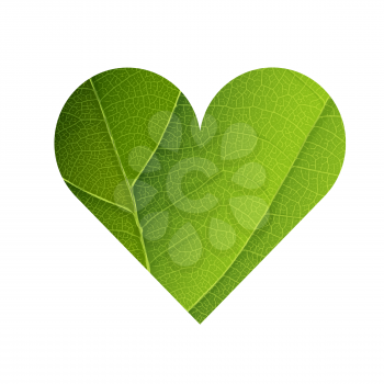 Green Leaf Veins Texture Heart Shaped. Earth Day Concept Design. Isolated template
