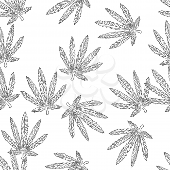 Seamless hemp leaves pattern. Hand drawn doodles vector. Cannabis leaves on white background.