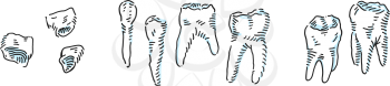 Teeth. Vector doodle set. Milk teeth. White tooth with root.