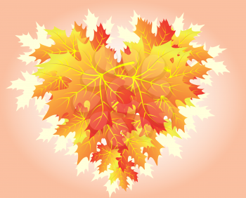 Autumn heart made from falling maple leaves