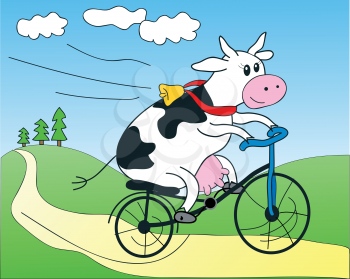 Happy cow on a bicycle!
