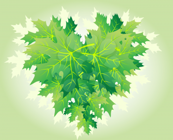 Heart shape made from green maple leaves