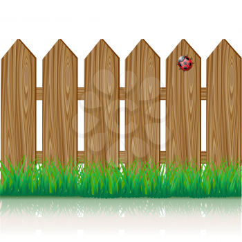 Wooden fence with a green grass and ladybird