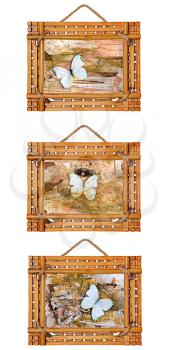three bamboo photo frames with abstract composition of butterflies, birch bark and straw isolated on white background