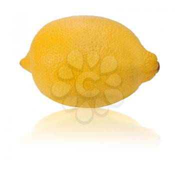 yellow ripe lemon isolated on a white background