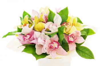 colorful flower bouquet from orchids arrangement centerpiece in vase isolated on white background
