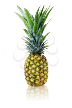 ripe whole pineapple isolated on white