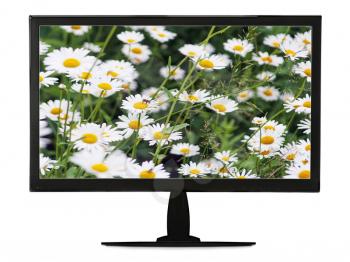 Black lcd monitor with flowering meadow isolated on white background. Closeup.