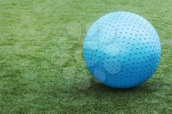 Blue ball on green grass.