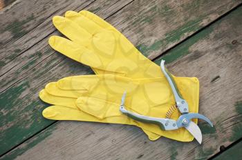 Yellow rubber gloves and garden pruner on wooden background. Closeup.