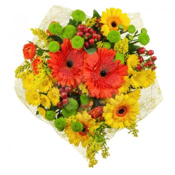 Colorful bouquet from gerberas isolated on white background. Closeup.