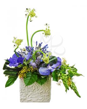 Bouquet from orchids and Arabian Star flower (Ornithogalum arabicum)  in vase isolated on white background. Closeup.