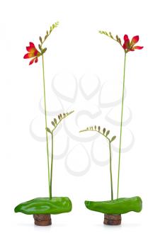 abstract composition of freesia and sweet green pepper on a wooden stand isolated on white background