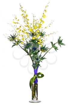 Miniature orchids and eryngium flowers in vase isolated on white background. Closeup.