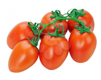 Royalty Free Photo of Tomatoes on a Vine