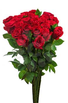 Royalty Free Photo of a Bouquet of Red Roses