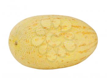 Ripe melon isolated on white background. Closeup.