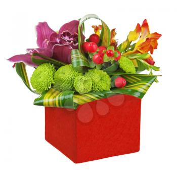 Bouquet from orchids and lilies in red vase isolated on white background. Closeup.