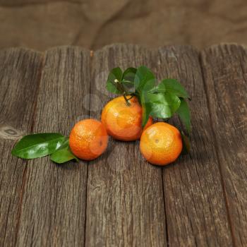 Fresh tangerines with leaves on a wooden table. Closeup.