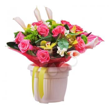 Bouquet from roses, orchids and calla lilies in vase isolated on white background. Closeup.
