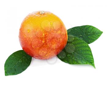 Blood orange with green leaves isolated on white background. Closeup.