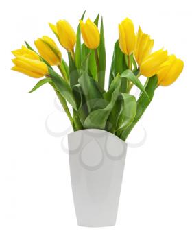 Flower bouquet from yellow tulips in vase isolated on white background. Closeup.