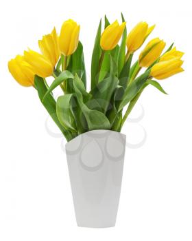 Flower bouquet from yellow tulips in vase isolated on white background. Closeup.