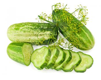 Cucumbers and slices vegetables and dill leaves still life isolated on white background. Closeup.