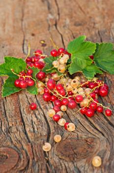 Red and white currant and green leaves on wooden background. Closeup. Selective focus.