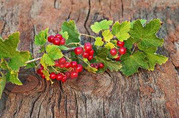 Sweet, red currant and green leaves on wooden background. Closeup. Selective focus.