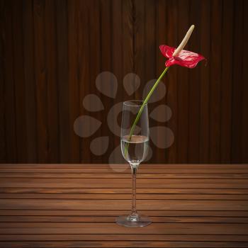 Red anthurium (Flamingo flower; Boy flower) in glass vase on wooden background. Closeup.