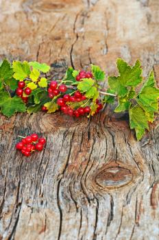 Red currant and green leaves on wooden background. Closeup. Selective focus.
