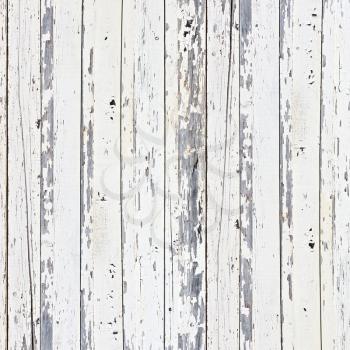 Old white wood plank background. Closeup.