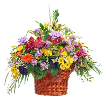 Colorful Flower Bouquet Arrangement Centerpiece in Basket Isolated on White Background. Closeup.