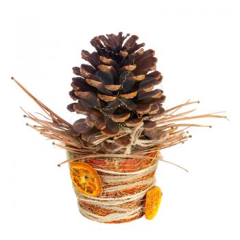 Composition from pine cone, dry needles and Christmas decorations in vase isolated on white background. Closeup.